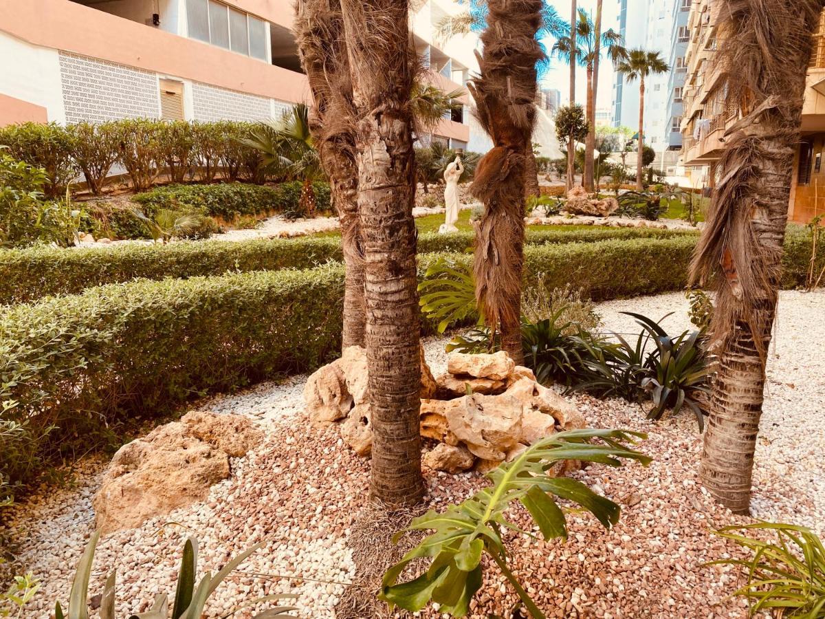 Be Luxury Apartment 20 Mts From The Beach Benidorm Exterior foto